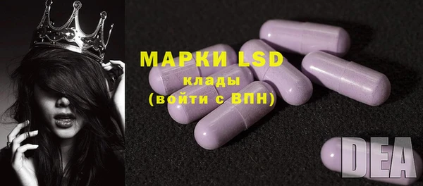 индика Майский