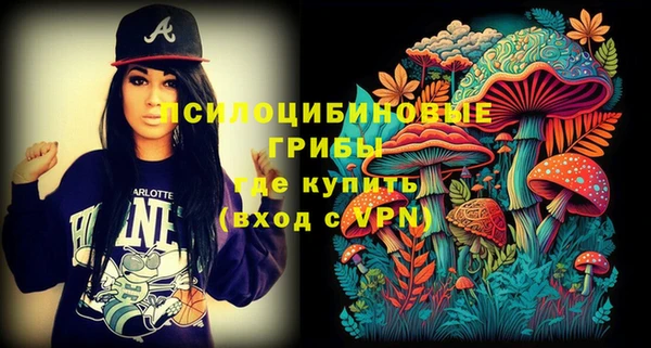 эйфоретик Михайловск