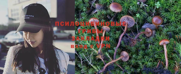 индика Майский