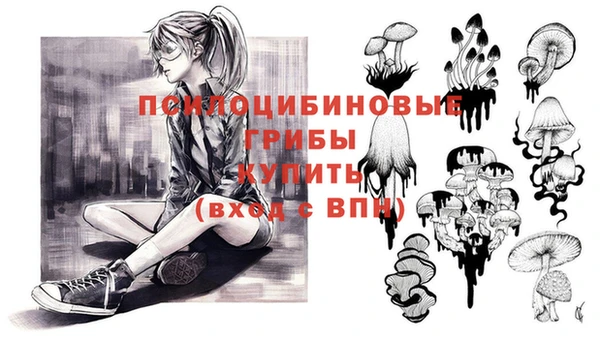 индика Майский
