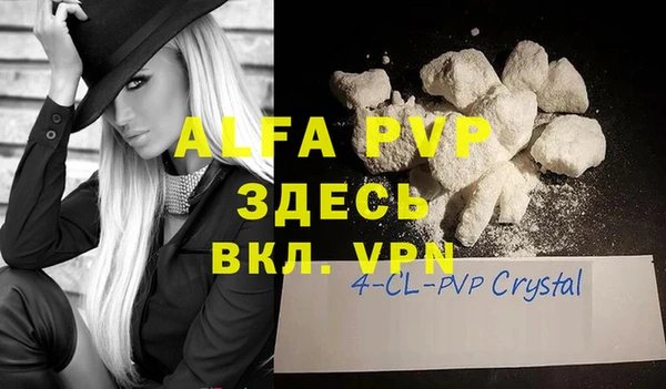 индика Майский