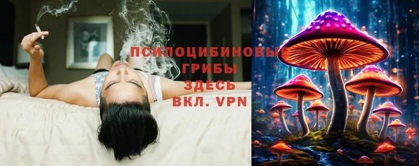 кокс Магас