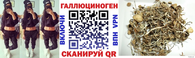 Псилоцибиновые грибы мухоморы  цена наркотик  Владивосток 